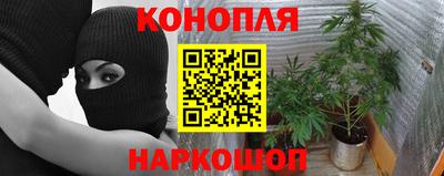 гидропоника Котовск