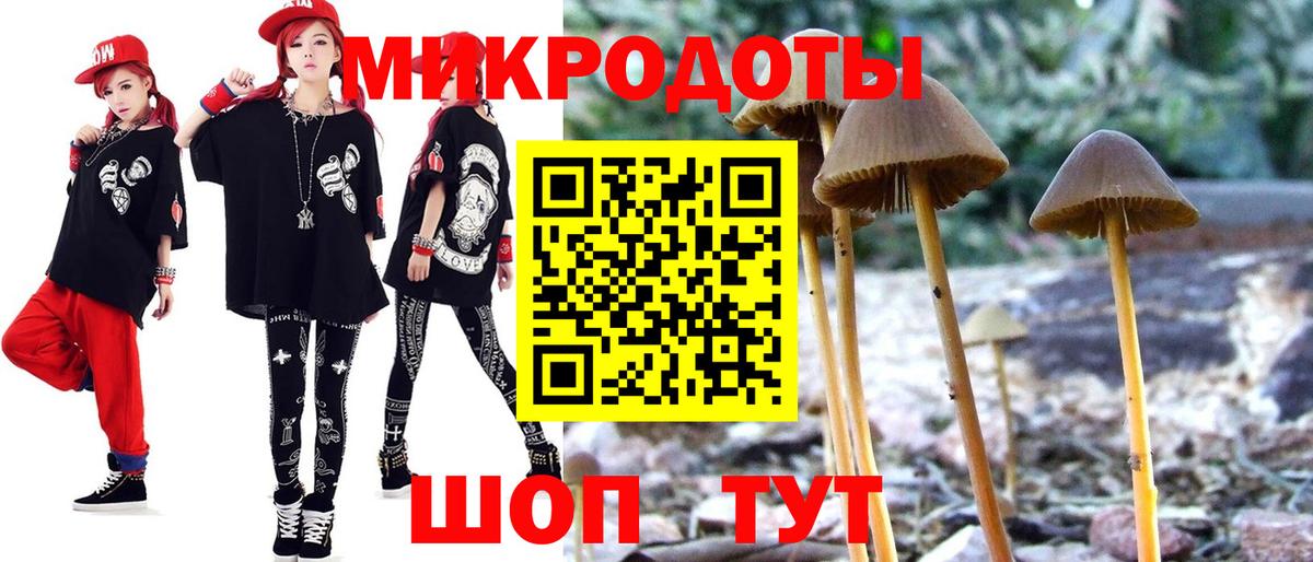Псилоцибиновые грибы мухоморы Ачинск